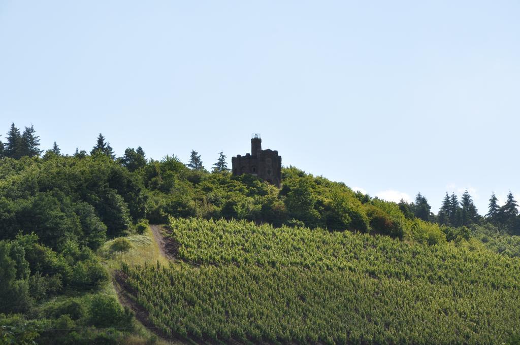 Schroeders Wein-Style-Hotel Trier Exterior photo